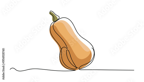 One continuous line illustration of an Butternut Squash vegetable, isolated on white background.