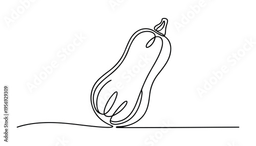 One continuous line illustration of an Butternut Squash vegetable, isolated on white background.