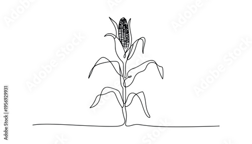 One continuous line illustration of an Corn vegetable, isolated on white background.
