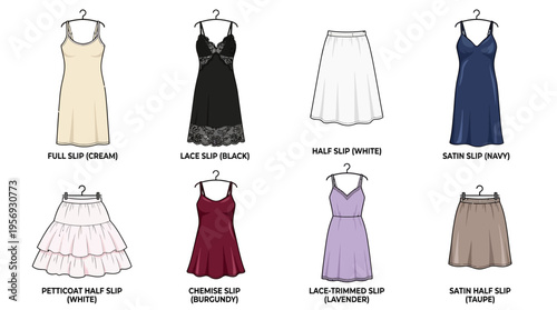 Vector Women’s Slip Undergarment Styles Illustration
