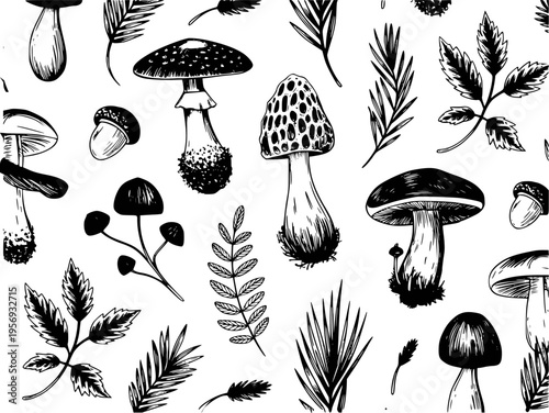 Hand Drawn Black And White Mushroom And Leaf Pattern White Background nature forest
