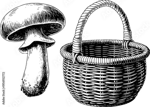 Vintage Mushroom and Woven Basket Isolated White Background food