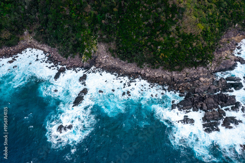 World Natural Heritage Site – Western Forest Road of Yakushima, Kagoshima Prefecture, Kyushu, Japan
