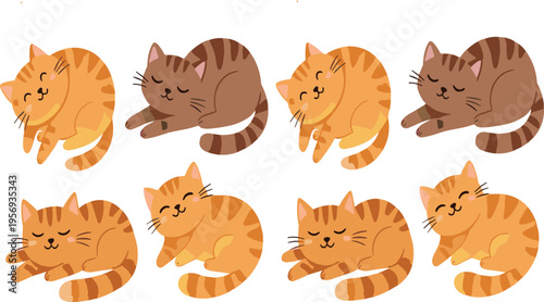 Cute sleeping cat collection with curled kittens resting poses orange and brown tabby kawaii cartoon vector illustration set isolated