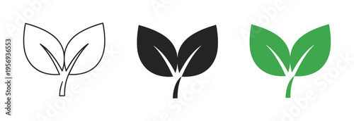 Set of 3 Green Leaf Icons Vector in Outline Solid and Color Styles for Eco Friendly Nature and Sustainability Design