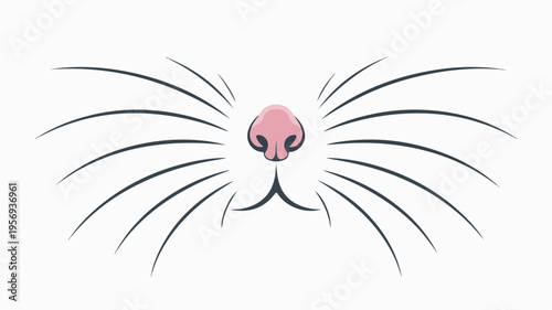 Whiskered cat face closeup with pink nose and black whiskers on white background