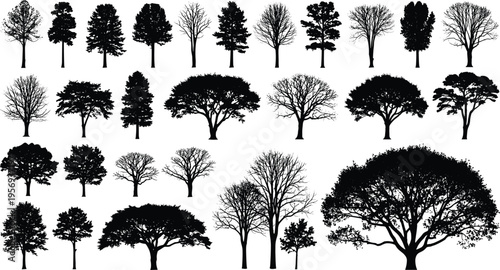 Large collection of black tree silhouettes featuring diverse species, including deciduous oak, evergreen pine, winter bare branches, and sprawling canopy trees for landscape design and architecture.
