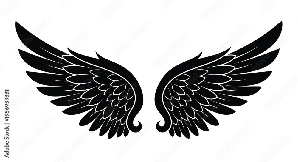 Obraz premium Detailed black wings with feathered edges a symbolic illustration
