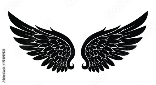 Detailed black wings with feathered edges a symbolic illustration