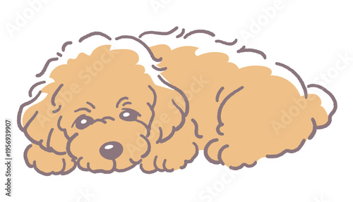 犬、トイプードルのイラスト素材。ベクターイラスト素材。