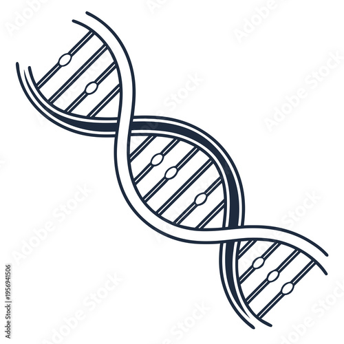 Dna double helix structure white background biology genetics
