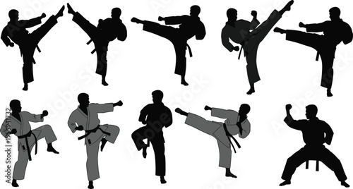 Karate and Martial Arts Silhouette Set with Fighters Performing High Kicks, Combat Techniques, and Training Poses for Sports and Self Defense Concepts