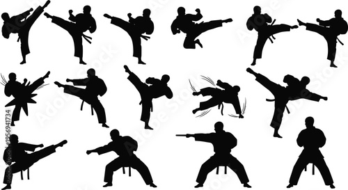 Martial Arts Karate Silhouette Set with Fighters Performing High Kicks, Combat Moves, and Self Defense Techniques in Dynamic Action Poses