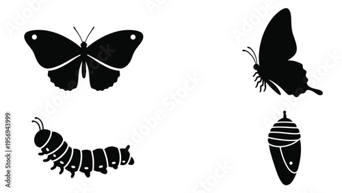 Image_fx (94) [Converted] copy.eps