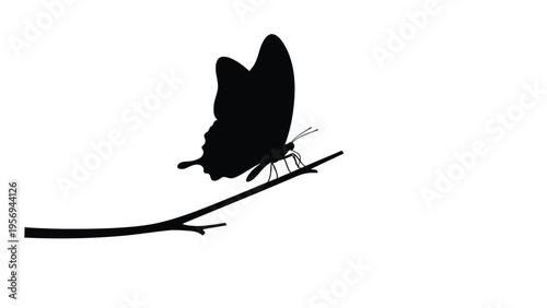 Image_fx (96) [Converted] copy.eps