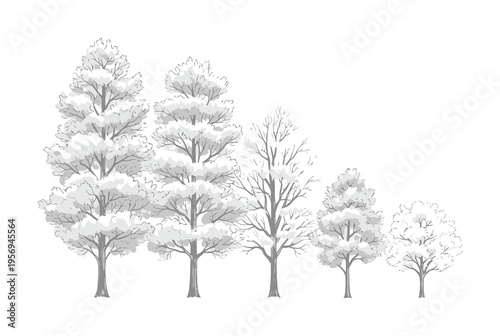 Vector of five snow-covered trees standing against a white background in winter