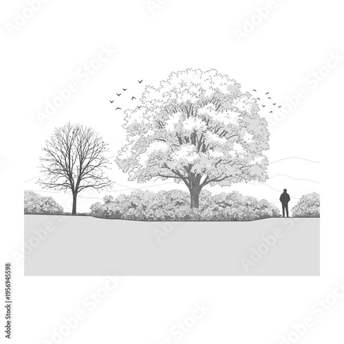 Beautiful vector of a solitary figure standing under a large tree in a serene winter landscape with birds flying in the sky