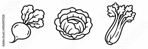 Outline set with beet, cabbage and celery. Farm fresh vegetable vector collection for grocery branding, recipe content, organic food packaging and healthy menu design.