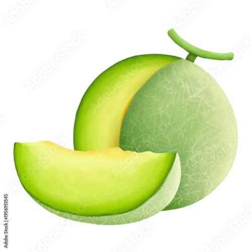 Fresh melon fruit with juicy texture and refreshing taste, perfect for healthy food concepts