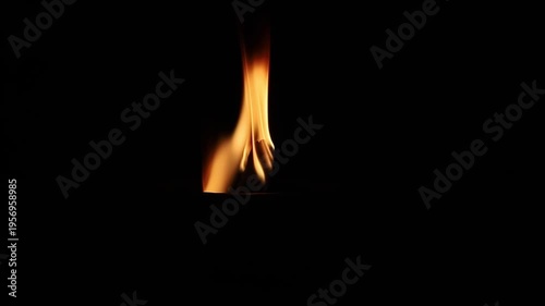 Close up of a bright fire flame burning on a wooden torch or bonfire in pitch black darkness. Concept of light, survival, heat, and energy. Abstract element of wild fire, danger.