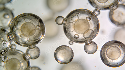 Exploring the role of biologicals in pest management through closeup of microscopic organisms