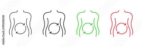 Set of minimalist human metabolism icons with transparent background, depicting body wellness symbols, digestive health, and stomach cycle, vector illustration