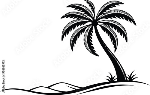 Black palm tree on sandy beach