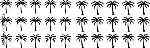 Black palm tree silhouettes on white background