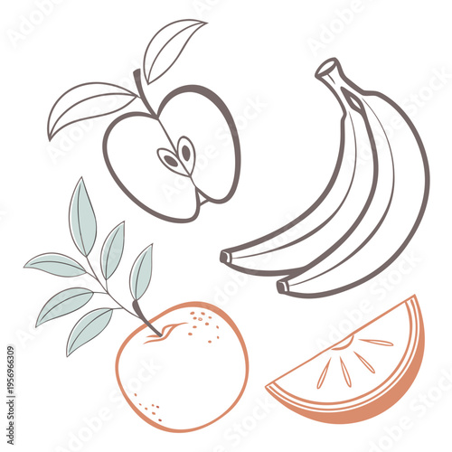 Colorful of fruit including apples bananas and oranges