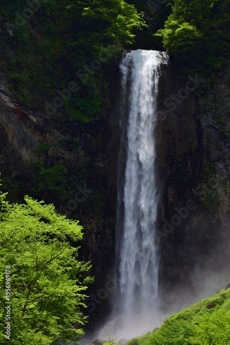 Wallpaper Mural 新緑に包まれる奥飛騨　平湯大滝 Torontodigital.ca