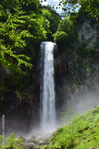 Wallpaper Mural 新緑に包まれる奥飛騨　平湯大滝 Torontodigital.ca