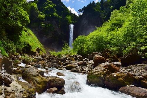 Wallpaper Mural 新緑に包まれる奥飛騨　平湯大滝 Torontodigital.ca