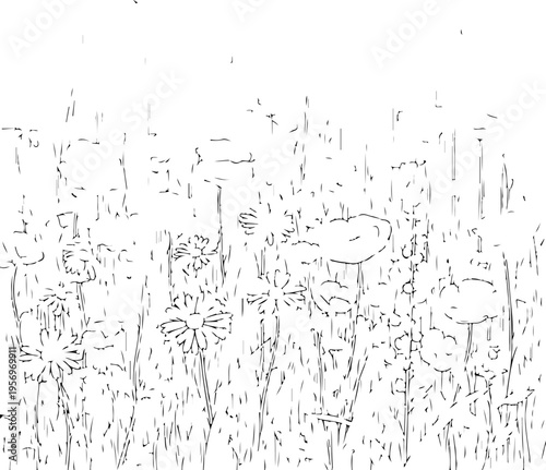 Vector illustration of a floral field in a sketch style