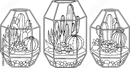 Set of 3 cactus terrarium icons vector