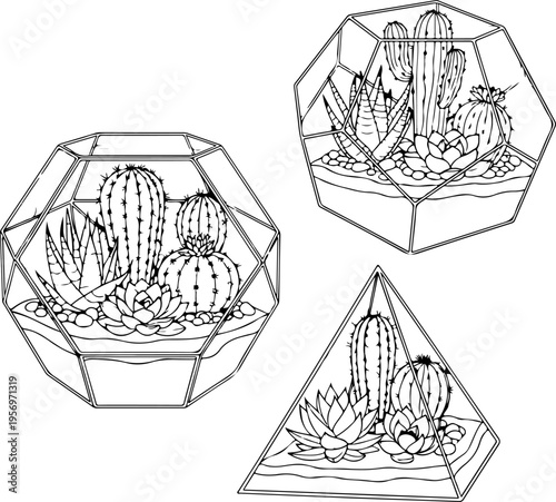 Set of 3 cactus terrarium illustrations vector