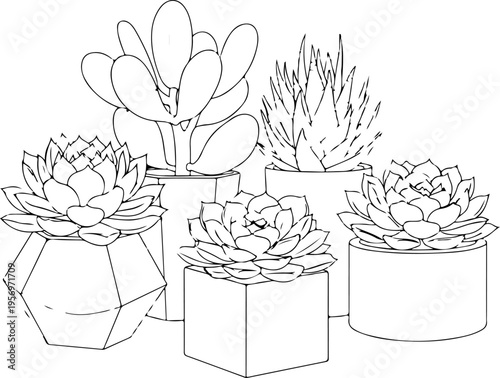 Set of 5 succulent plants in pots vector illustration