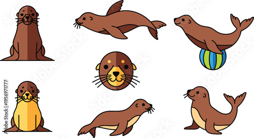 Cute Seal and Sea Lion Cartoon Character Set with Swimming Playing and Sitting Marine Animals Collection Vector Illustration Isolated on White Background