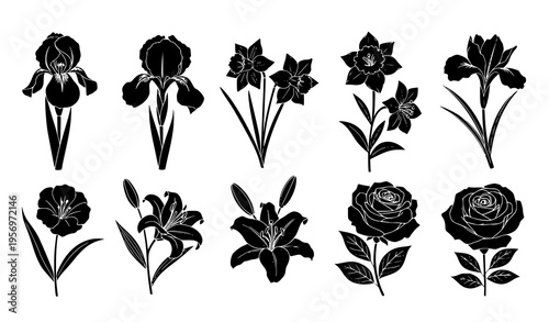 Black silhouette floral set with iris daffodil lily and rose botanical vector illustration collection