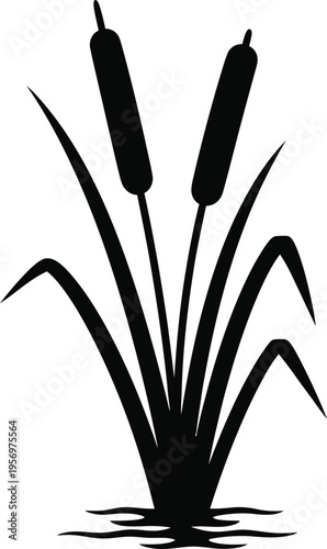 Minimal cattail reeds silhouette with grass isolated on light background