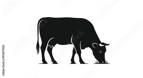 A black silhouette of a cow grazing in a field of grass