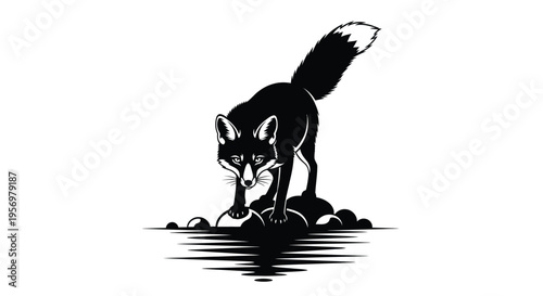A black and white illustration of a fox cautiously approaching water
