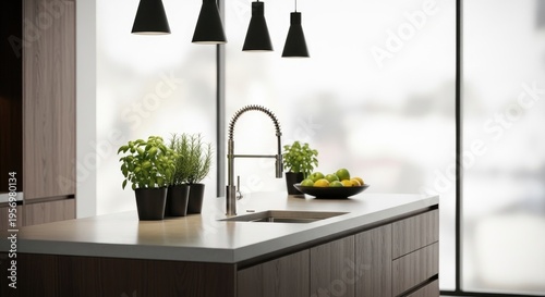 Modern Kitchen Island with Sink and Plants.