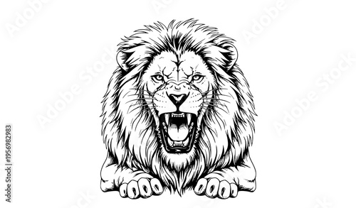 Roaring lion front view realistic vector illustration with detailed mane fierce wild animal isolated on white background