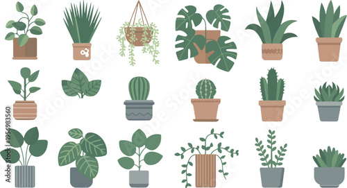 Houseplants set for home decor featuring succulents, exotic flowers, monstera, ficus, pothos, yucca, dracaena, cacti, and snake plants vector illustration