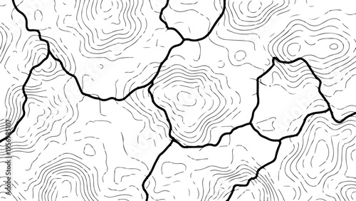 Vector topographic map contours background