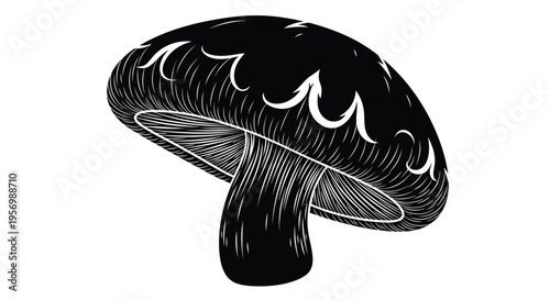 Detailed illustration of a mushroom with a striking black silhouette