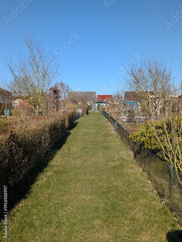 Schöner Pfad durch eine Gartensiedlung unter blauem Himmel