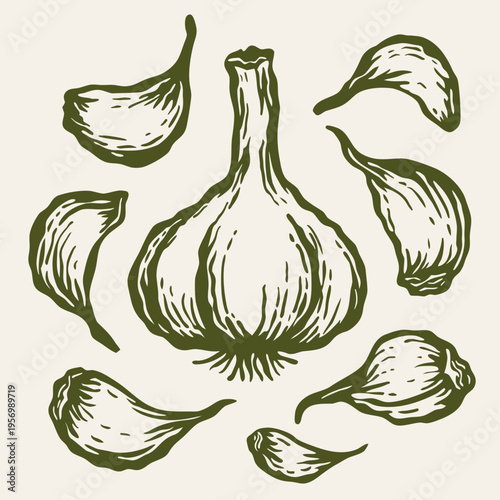 Vintage hand-drawn garlic bulb and cloves vector illustration in rustic woodcut line art style on beige background.
