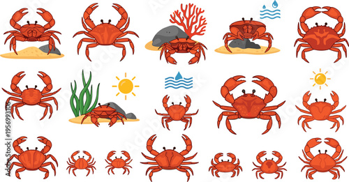 Crab Vector Set Featuring Different Poses and Sizes with Ocean Elements Including Coral Rocks Seaweed and Waves in Flat Cartoon Style for Marine Wildlife and Aquarium Designs