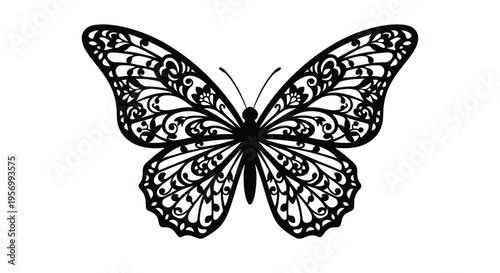 Intricate butterfly design with detailed wing patterns a striking silhouette